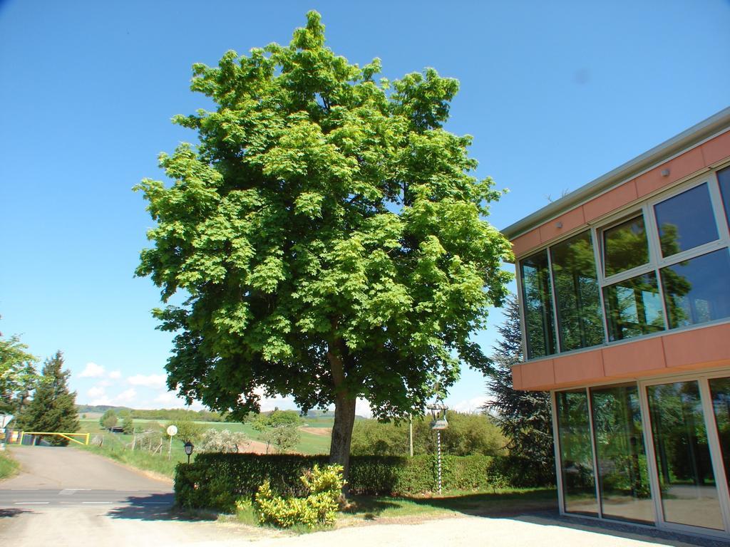 Rotenberg Pt Hotel Wittlich Exterior photo